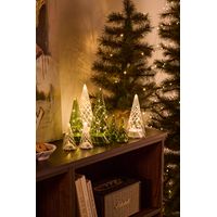 Sapin lumineux blanc - Visuel 0